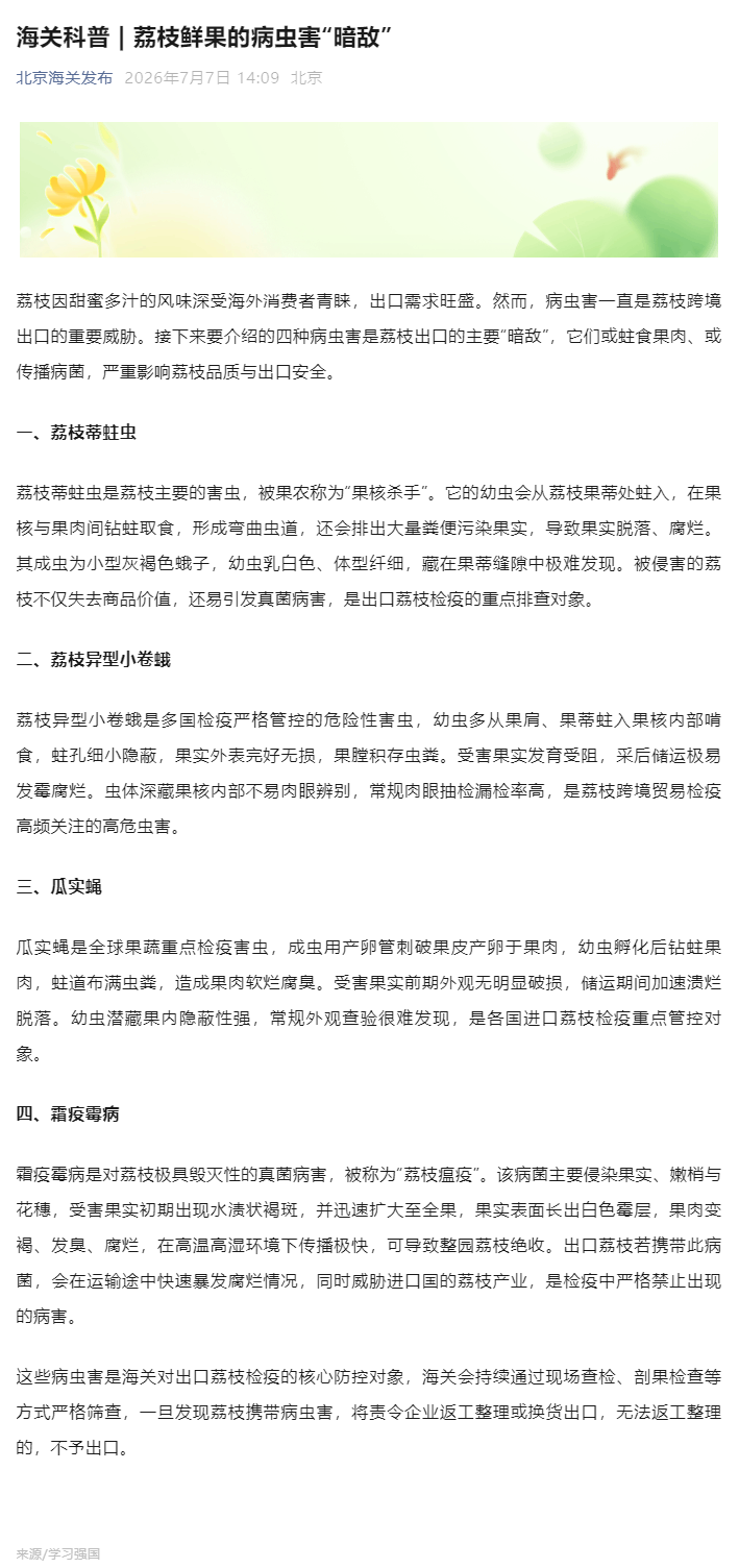 海关科普 _ 荔枝鲜果的病虫害“暗敌”