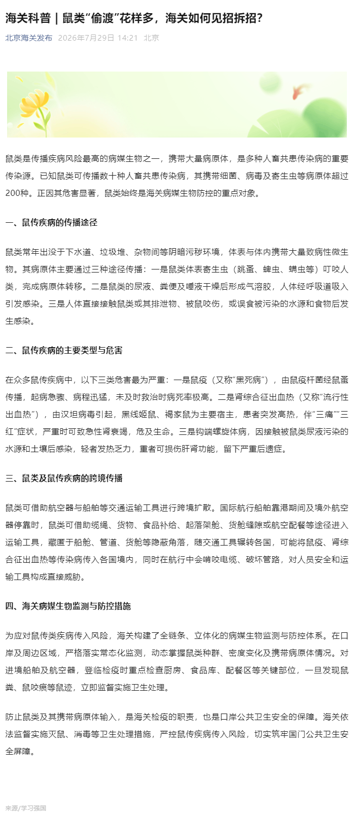 海关科普 _ 鼠类“偷渡”花样多，海关如何见招拆招？