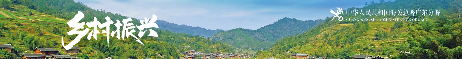 banner图2