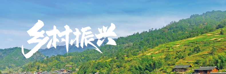 乡村振兴