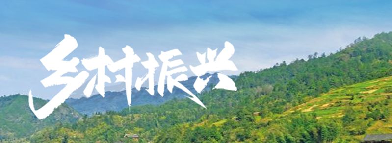 海关扶贫