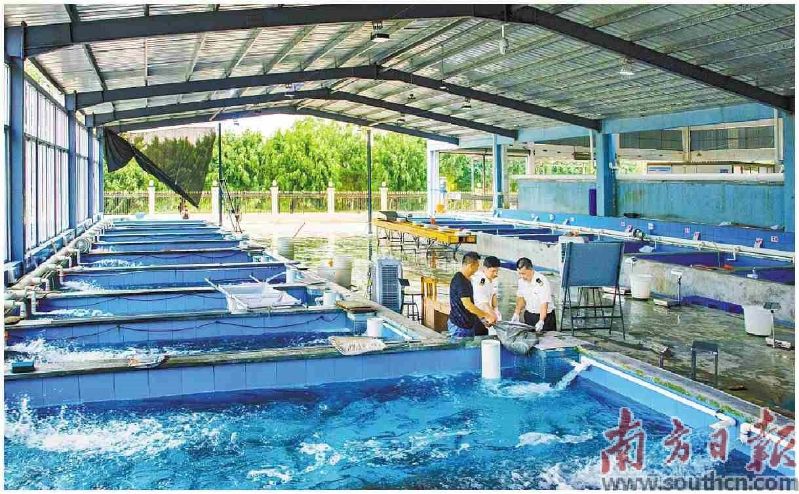 广东省内海关深化科技创新,推动实现更优监管更高安全（图）