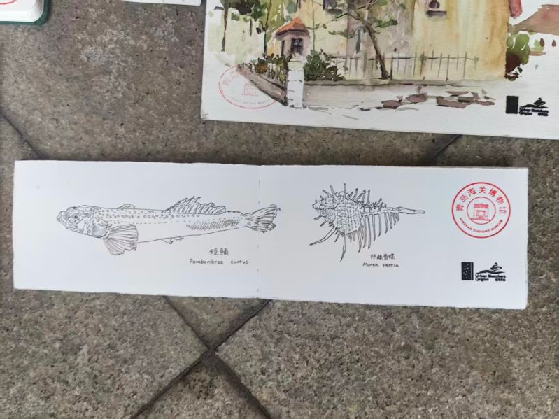 微信图片_202605181611311