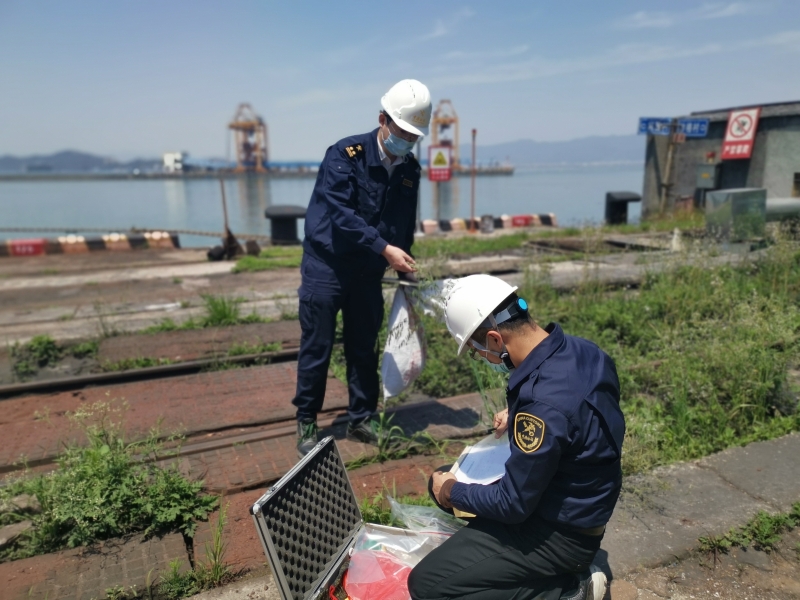 杂草踏查与外来入侵有害生物监测