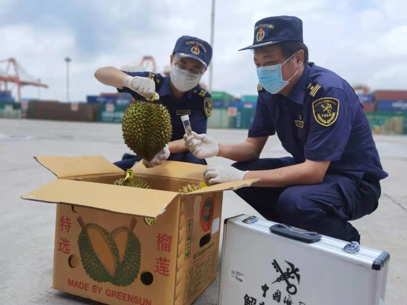 进境水果检疫1
