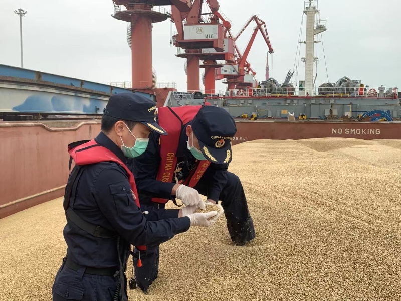 进境粮食查验