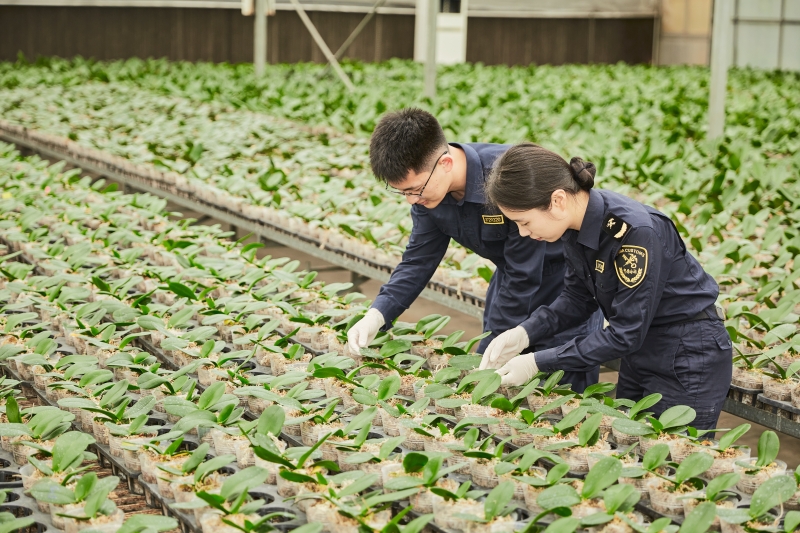 出口植物种苗现场查验